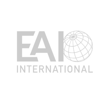 AIP Audit Consulting Group